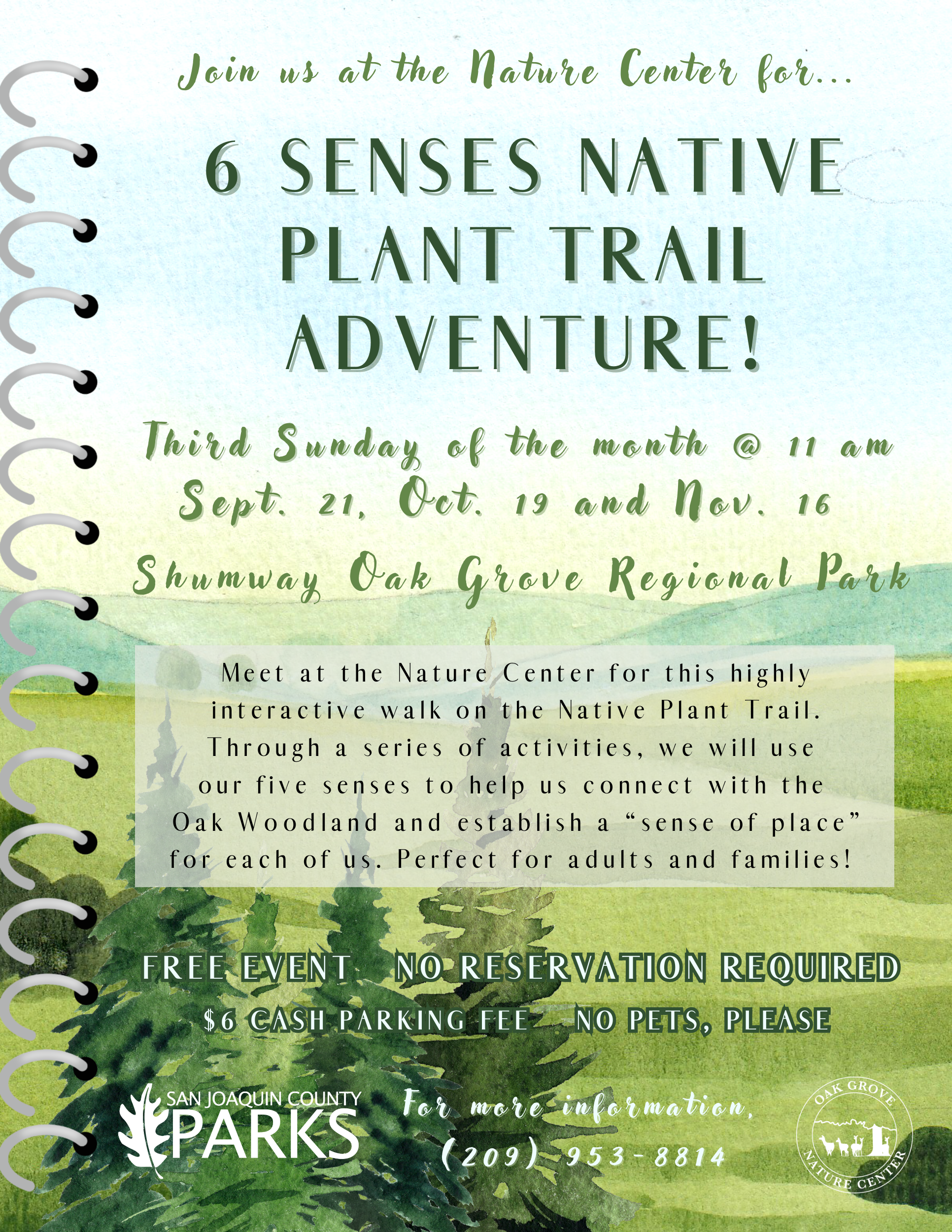 6 Senses Native Plant