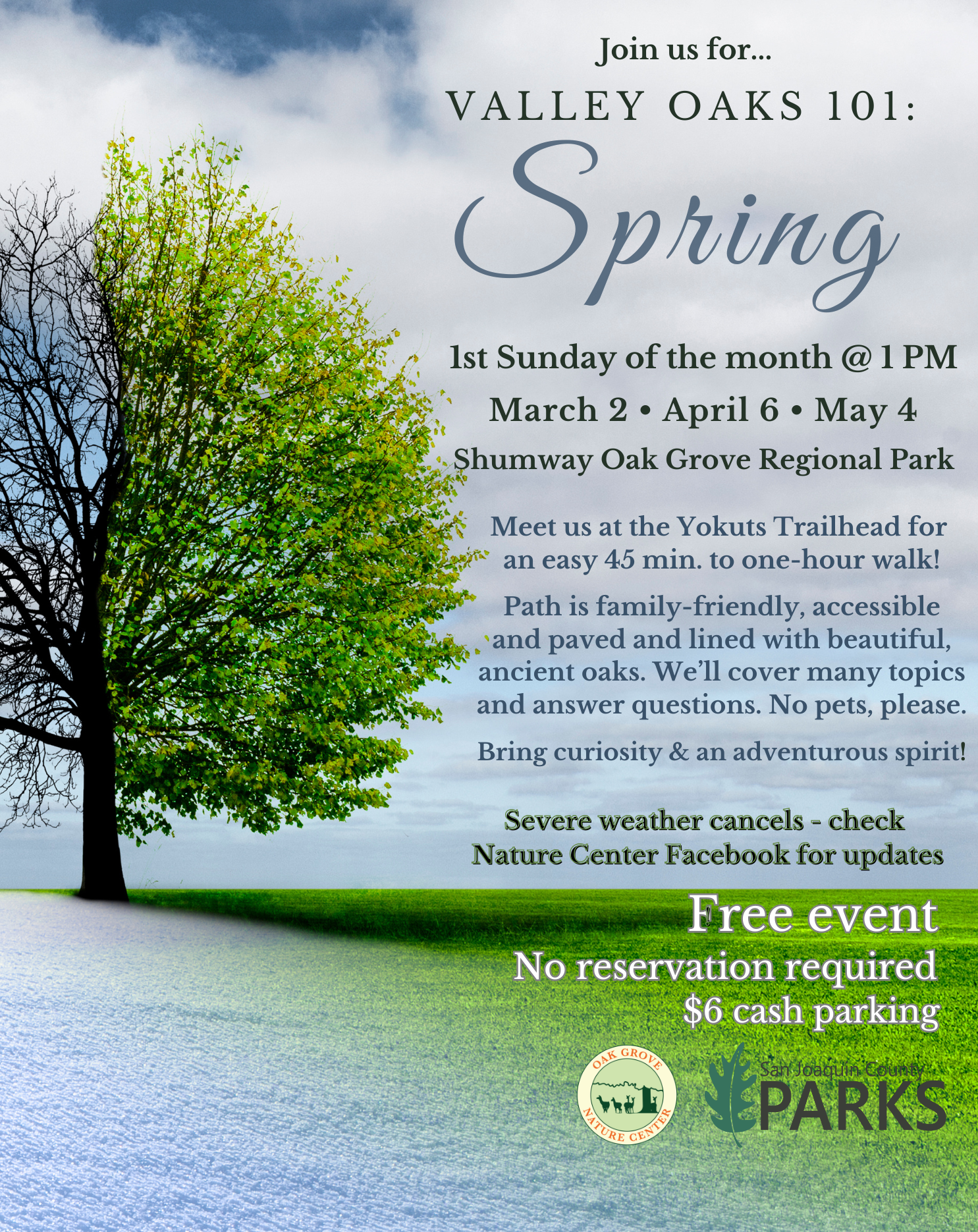 Valley Oaks 101 Spring